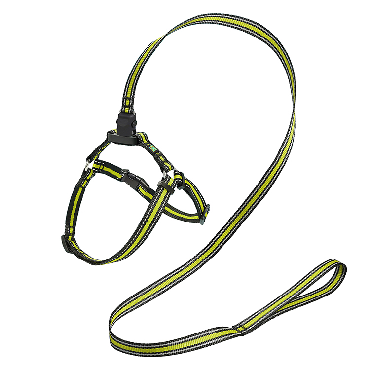 Y-TYPE Harness