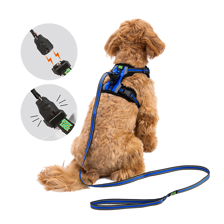 DOG HARNESS