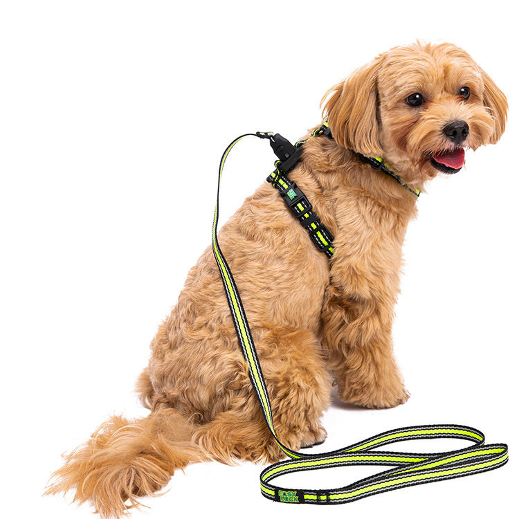 Basic Harness